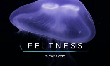 Feltness.com is for sale